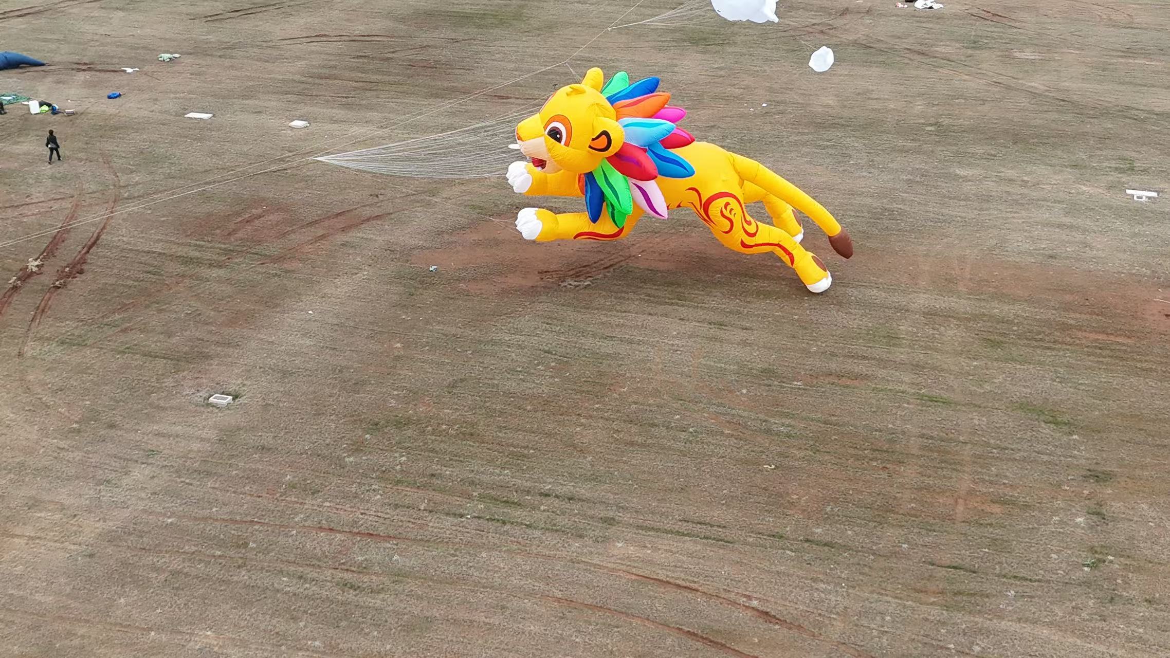 玉溪市品牌风筝定制风筝商业放飞 - 价格