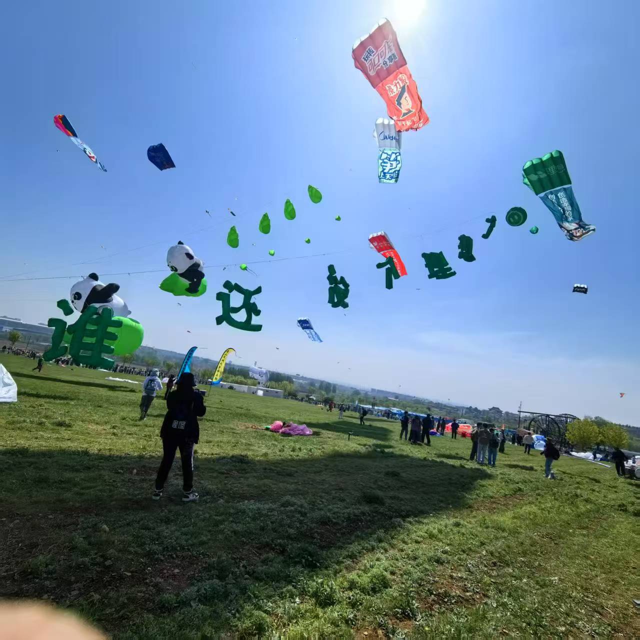 玉溪市软体风筝定制风筝定制 - 哪里好